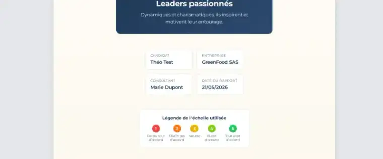 Collaborator Profile behavioural report — Big Five and DISC